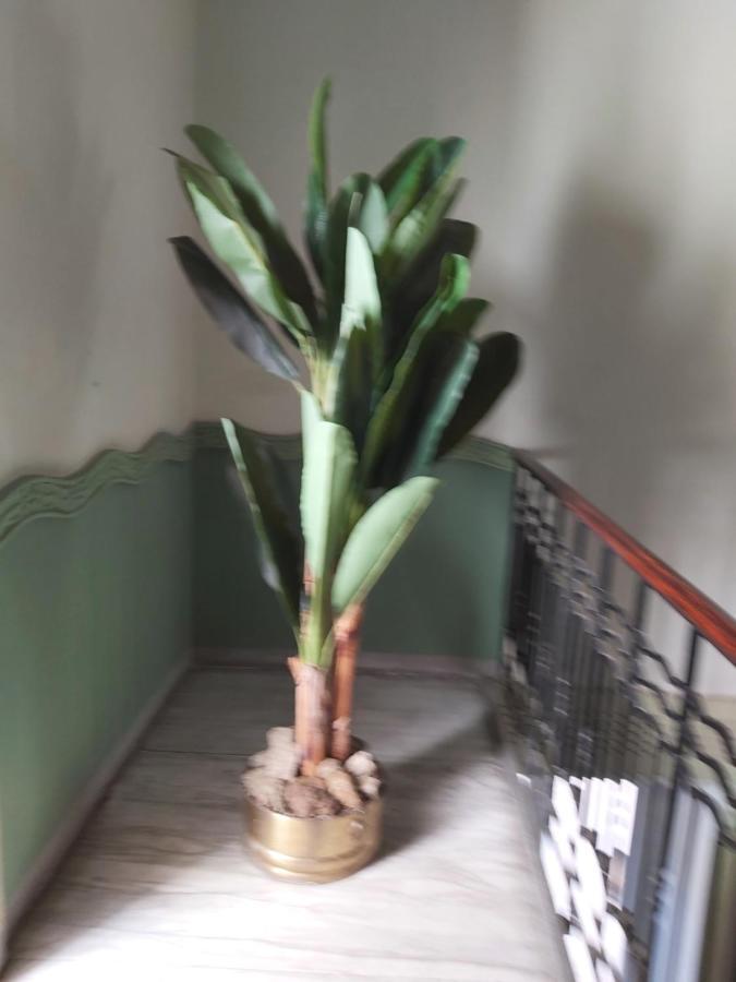 Costa E Mare Apartment ซาโวนา ภายนอก รูปภาพ